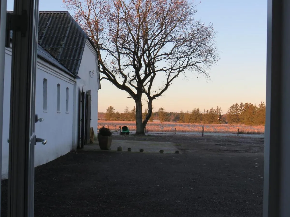 Gasthuis Bogelund Sleep-In Hotel Kårup